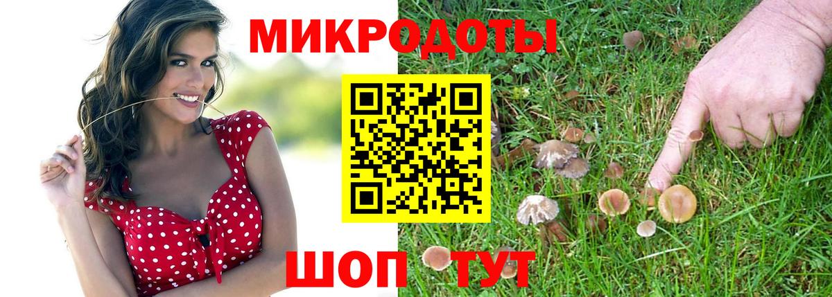 Галлюциногенные грибы Psilocybe  Псилоцибиновые грибы MAGIC MUSHROOMS  Черняховск  Вход с VPN 